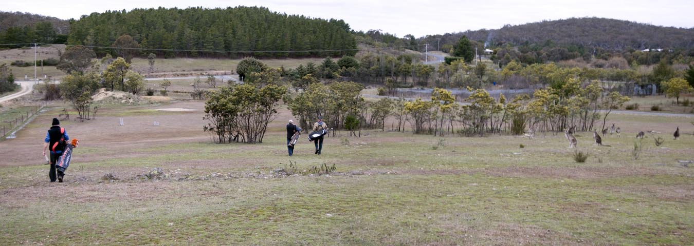Shep's High Drive