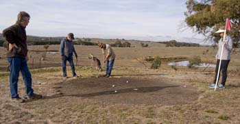 Short 'n' Sweet