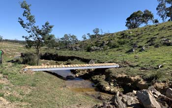 COVID Bridge